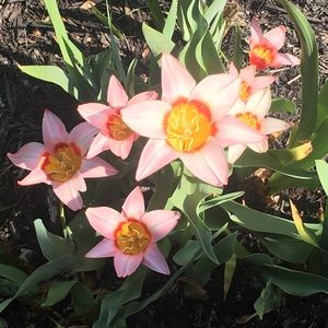 Meet your Posher, Christie